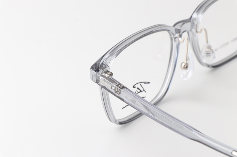 TT29821 Eyeglasses Transparent Gray