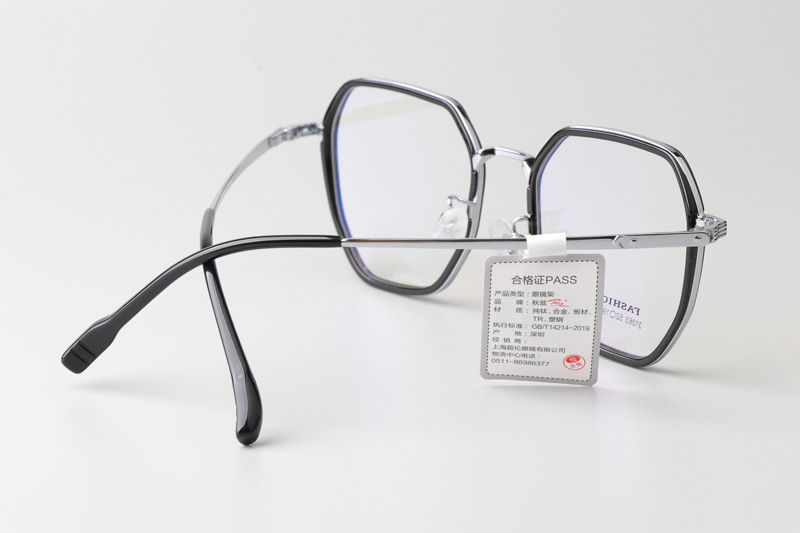 TT31063 Eyeglasses Black Silver