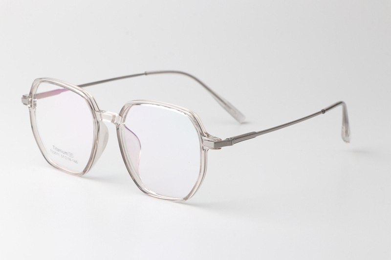 TT33011 Eyeglasses Transparent Gunmetal