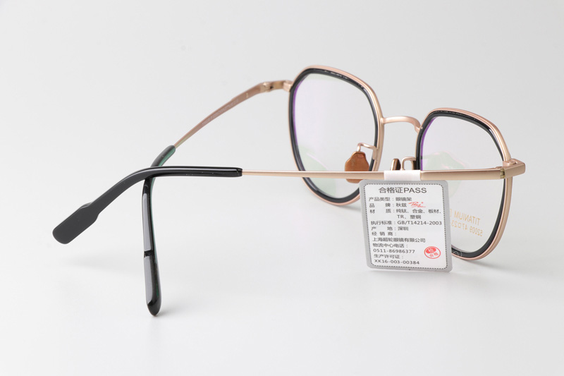 TT52009 Eyeglasses Black Gold