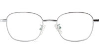 TT6053 Eyeglasses Silver