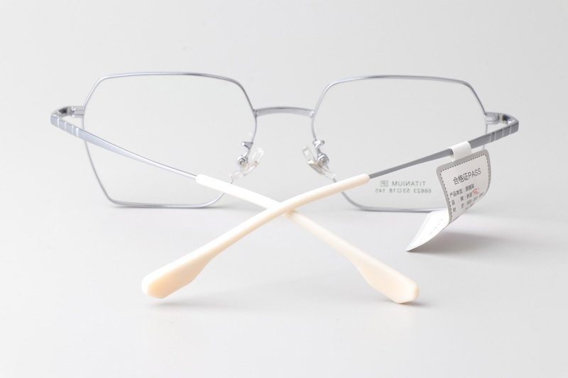 TT66623 Eyeglasses Silver