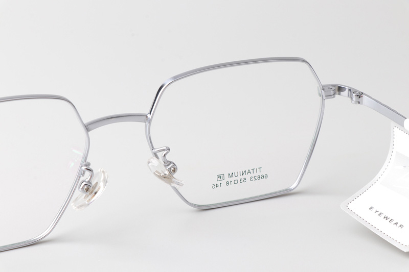 TT66623 Eyeglasses Silver