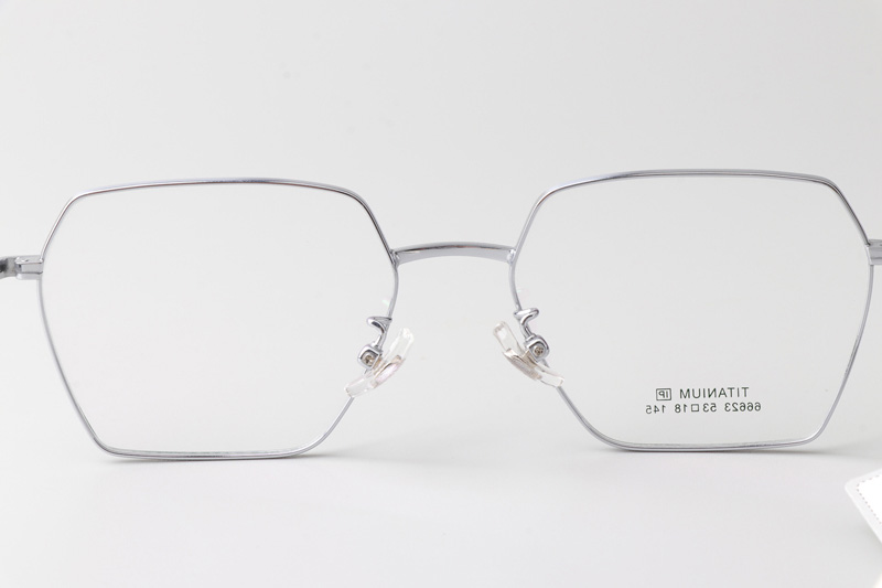 TT66623 Eyeglasses Silver