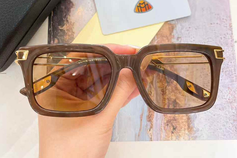 Z123 Sunglasses Brown Brown