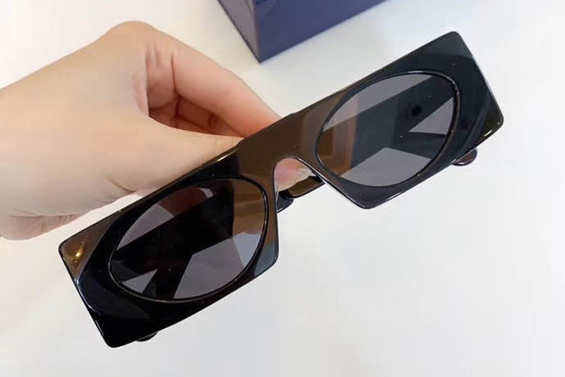 Z1253 Sunglasses In Black