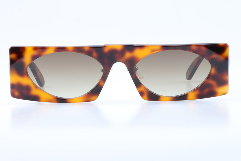 Z1253 Sunglasses In Tortoise