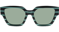 Z1479 Sunglasses In Green