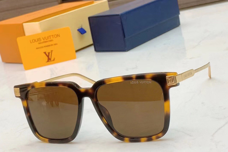 Z1667 Sunglasses In Tortoise Gold Brown