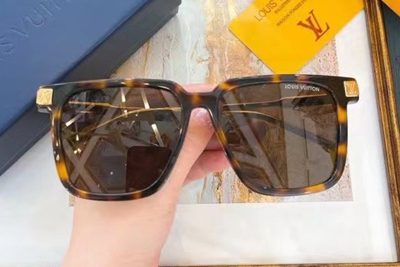 Z1667 Sunglasses In Tortoise Gold Brown