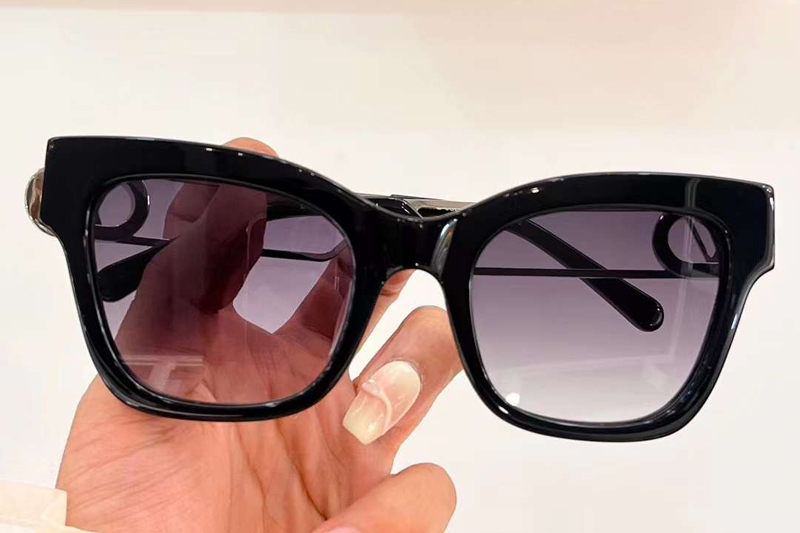 Z1869E Sunglasses Black Silver Gradient Gray