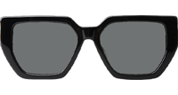 Z2038E Sunglasses Black Gray