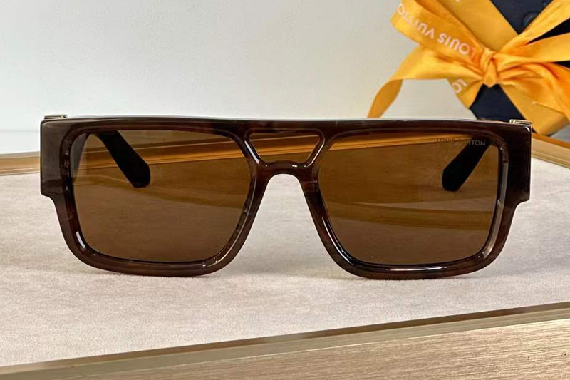 Z2086W Sunglasses Coffee Brown