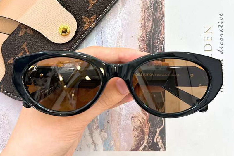 Z2104W Sunglasses Black Brown