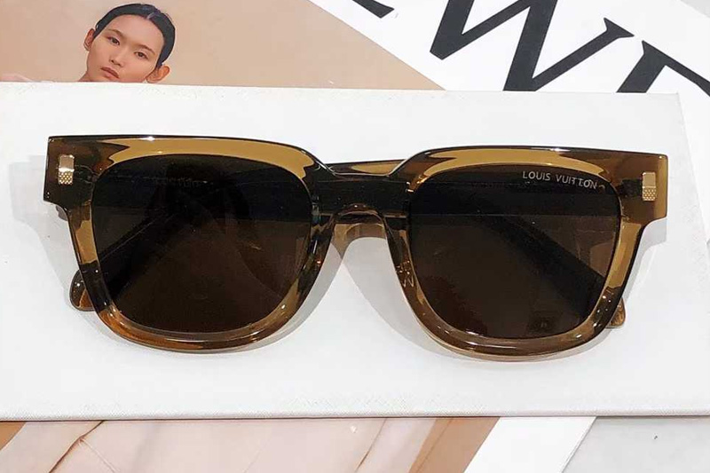 Z2622E Sunglasses Brown Brown